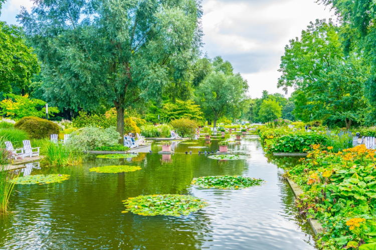 Planten up Bloomen