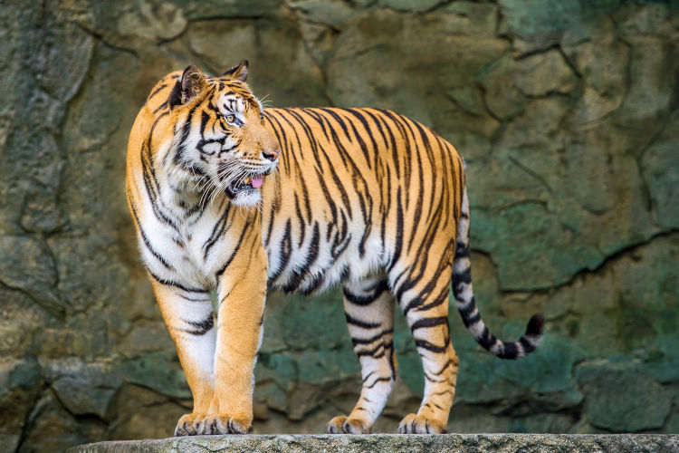 Tierpark Berlin