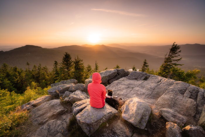 Bayerischer Wald