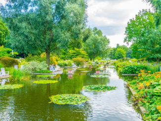 Planten up Bloomen