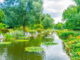 Planten up Bloomen