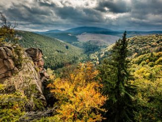 Harz